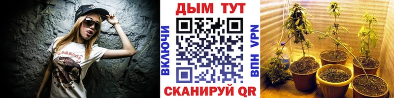 Где купить Мыски APVP Канабис МЕФ Гашиш COCAIN