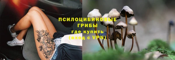 PSILOCYBIN Волоколамск