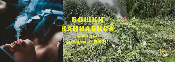 прущие грибы Киров
