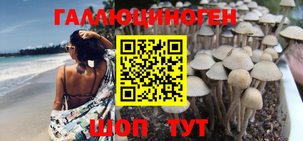 Галлюциногенные грибы ЛСД Мыски